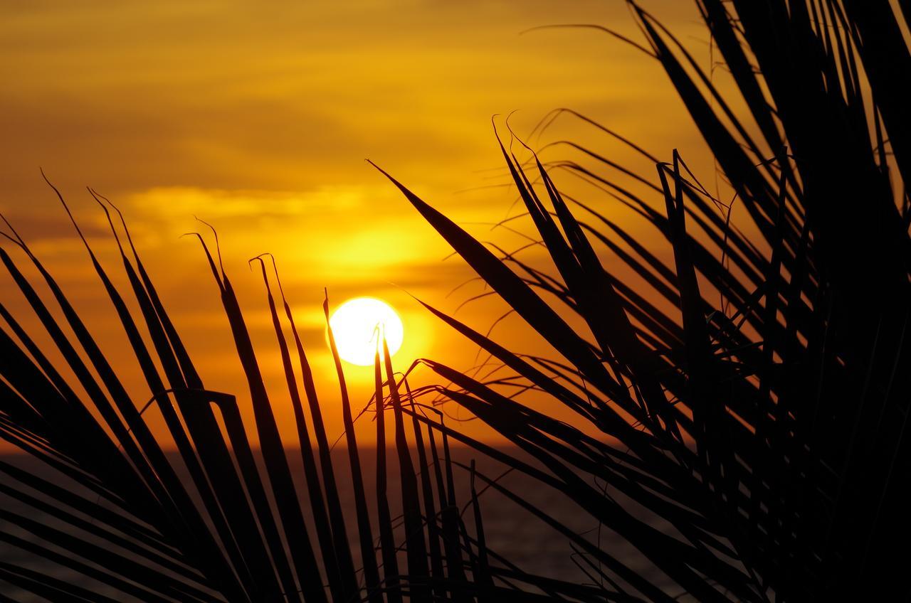 Jardin Pacifico Otel Canoa Dış mekan fotoğraf